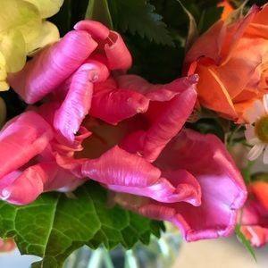 Meet your Posher, Shari